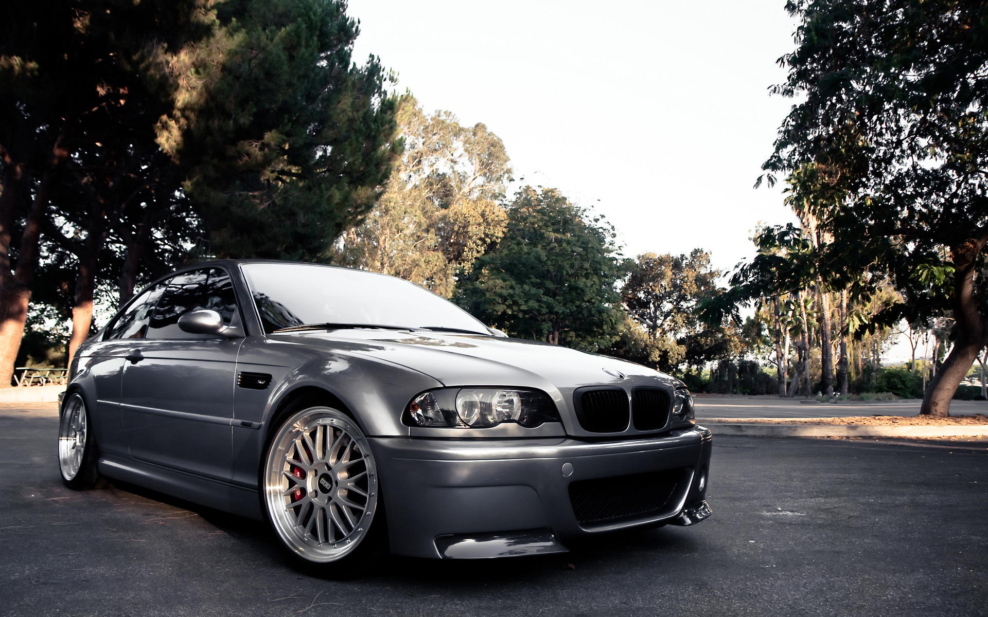 BMW_50