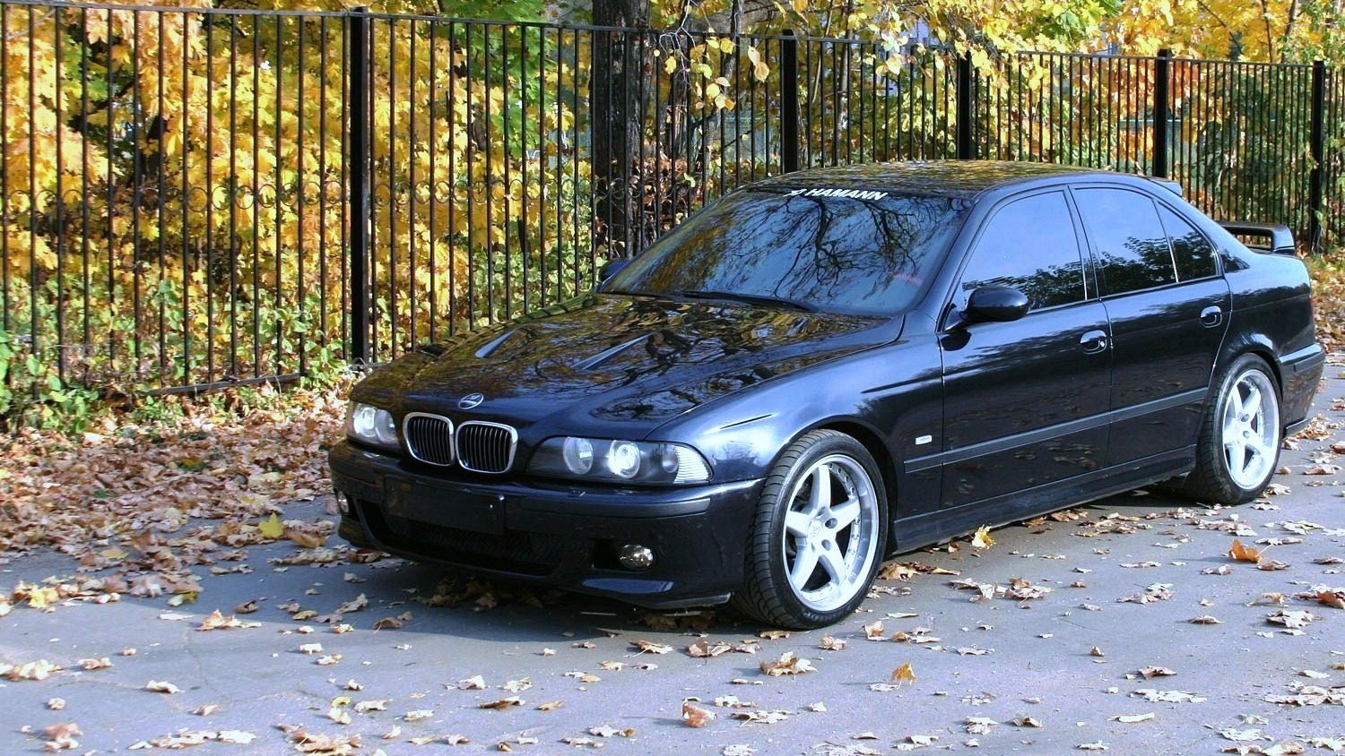 BMW_264